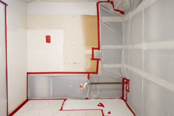 Trusted Hannibal, MO Mold Removal Experts